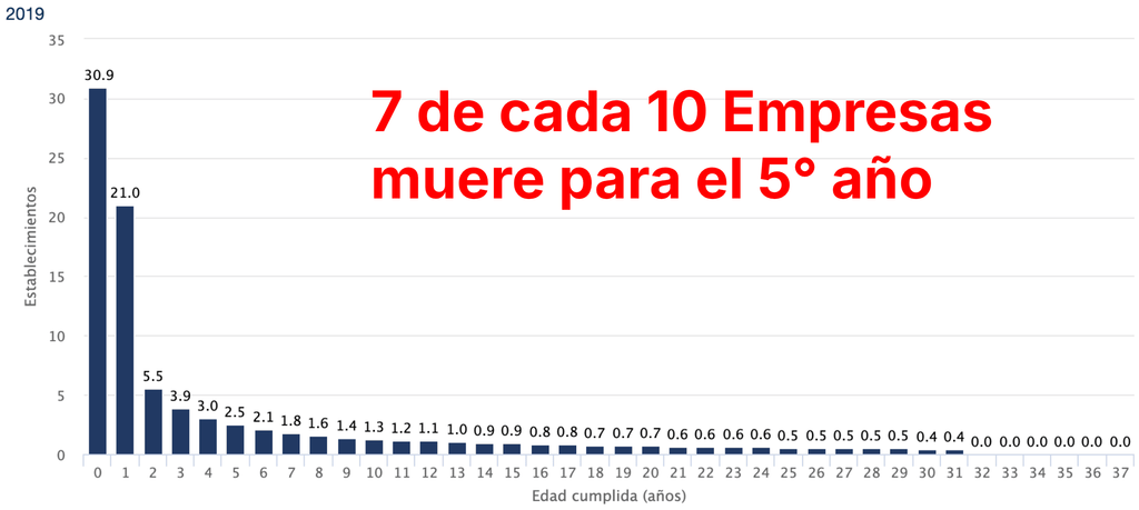 *Fuente:
INEGI. Demografía de los Negocios 1989-2019.  
